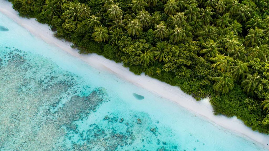 Exploring the Maldives: A Journey into its Enchanting Marine Wonderland
